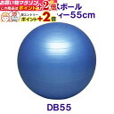楽天マラソン+当店限定ポイントUP★ トレーニング用品 バランスボールセイフティー55