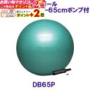 楽天マラソン+当店限定ポイントUP★ トレーニング用品 バランスボールセイフティー65ポンプ付