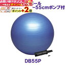 楽天マラソン+当店限定ポイントUP★ トレーニング用品 バランスボールセイフティー55ポンプ付