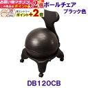 楽天マラソン+当店限定ポイントUP★ トレーニング用品 バランスボールチェア ブラックポンプ付き