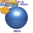 6/1限定★最大5000円OFF!★ トレーニング用品 バランスボールセイフティー55(4)