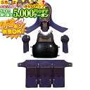 5/1限定★最大5000円OFF!★ 剣道 防具 セット 剣道防具セット 1分2厘刺 高級手刺防具 【桜明】 面・胴・甲手・垂 剣道具 剣道