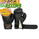 5/1限定★最大5000円OFF!★ 日本拳法グローブ 日本拳法グローブ(黒) 6オンス 少年用MT式(マジックテープ式) (日本拳法) N-20 日本拳法