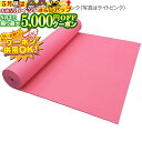 5/1限定★最大5000円OFF!★ トレーニング用品 ヨガマットECO ロングタイプ 厚さ6mm 約61cm×182cm 色 (ライトブルー、ライトピンク) ...