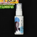 最大2000円OFF対象商品!★ メンテナンス用品 アイガード曇り止め