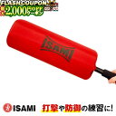 最大2000円OFF対象商品!★ 【ISAMI・イサミ】 パーフェクトブロッカー(TT-9)キックミット ハンドミット 空手 格闘技 キックやブロック、反射神経...