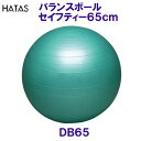 トレーニング用品 バランスボールセイフティー65(4)