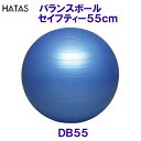 トレーニング用品 バランスボールセイフティー55(4)