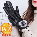 手袋 レディース グローブ 裏起毛 ボア スマホ対応 無地 ファー 保温 アウター カジュアル 防寒 おしゃれ バイク イベント 上品 SHOP DAN