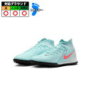 ナイキ PHANTOM LUNA 2 ACADEMY TF NIKE ファントム ルナ 2 アカデミー トレーニングシューズ トレシュー ターフ 天然芝 人工芝...