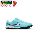 ナイキ JR LEGEND 10 ACADEMY TF nike サッカー フットサル 大人 jr トレシュー (DV4351-401)