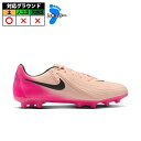 ナイキ PHANTOM GX II ACADEMY HG nike サッカー フットサル 大人 jr スパイク (FJ2551-800)