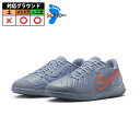 ナイキ ティエンポ レジェンド 10 アカデミー IC NIKE インドアシューズ フットサル 室内 体育館 大人 メンズ レディース (DV4341-402)