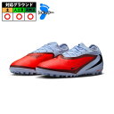ナイキ ファントム 6 PRO TF NIKE トレーニングシューズ トレシュー 天然芝 人工芝 土 大人 メンズ レディース ロイヤルティント/ブライトクリム...
