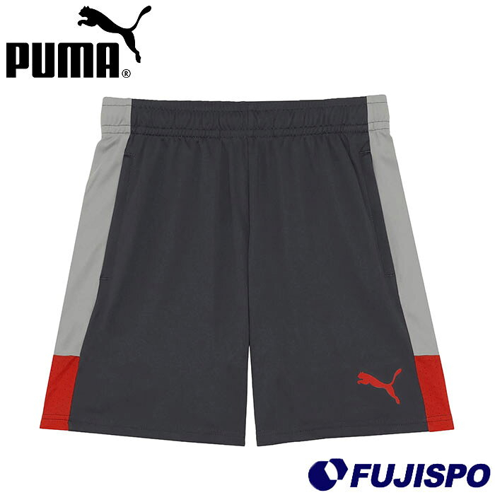 プーマ INDIVILIGA TR ショーツ PUMA サッカー フットサル プラクティスパンツ ゲームパンツ トレーニングウェア 大人 メンズ (660976-01)