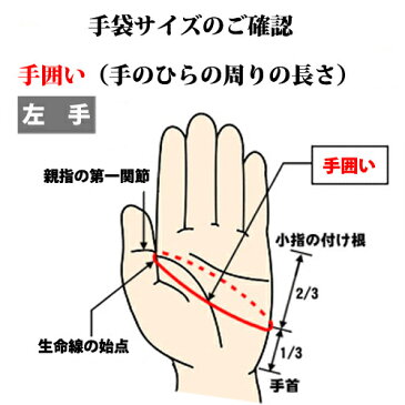 エスエスケイ(SSK) 一般用シングルバンド手袋(両手)【野球・ソフト】バッティンググローブ　バッティング手袋　限定 (EBG5000W)