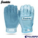 野球 Franklin フランクリン CFX PRO HI-LITE バッティング手袋 バッティンググローブ 両手 限定 (20896)(4)