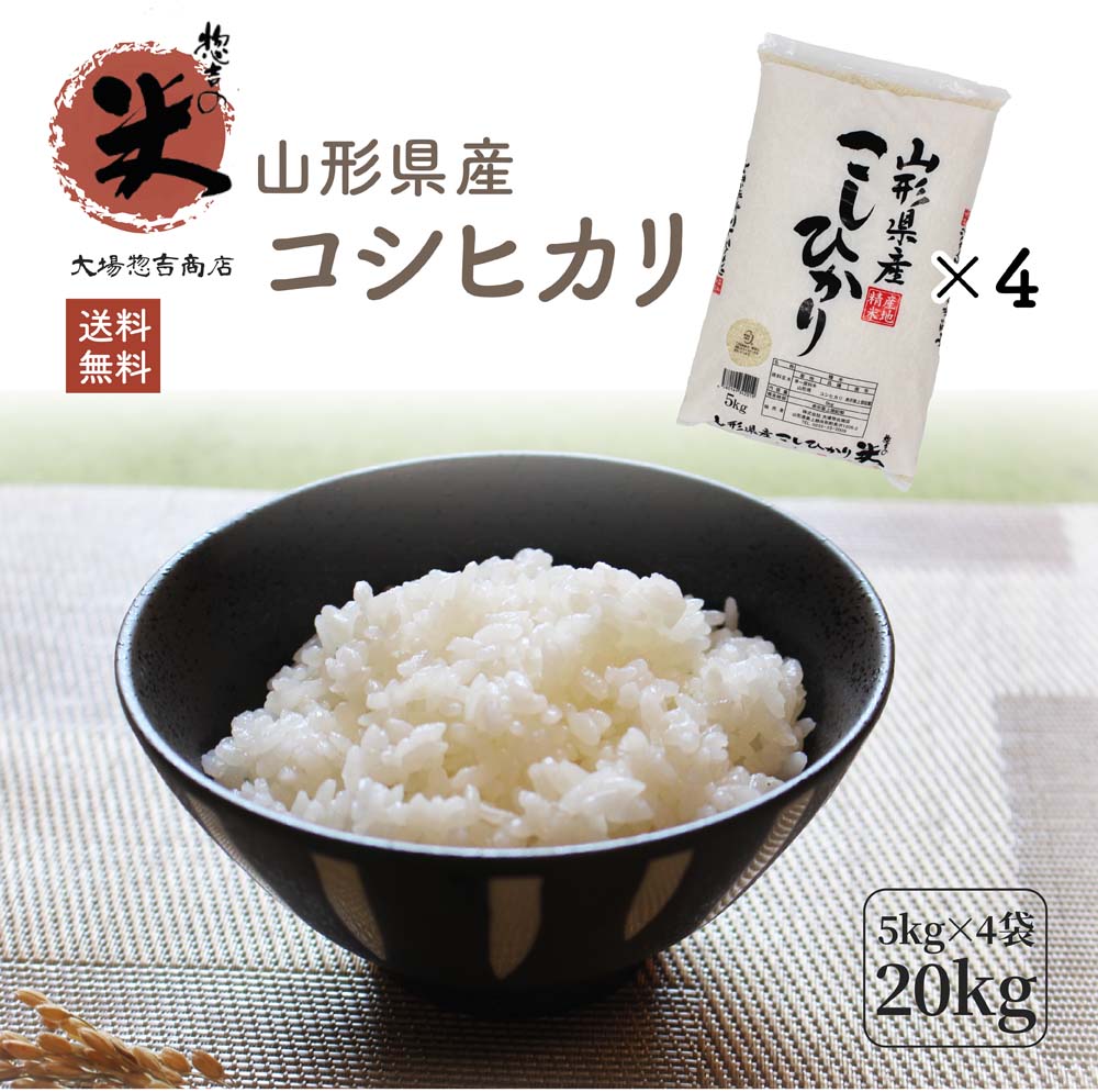 お米 コメ こしひかり コシヒカリ 20kg 精米 送料無料 山形県産 令和2年産 ...