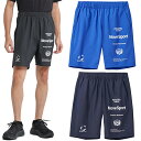 デサント DESCENTE 限定 オーセンティック ロゴ ライトリップ ショーツ ST5SHP02M ショートパンツ ムーブスポーツ MOVESPORT メール便利用可