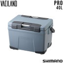 シマノ SHIMANO クーラーボックス ヴァシランド プロ PRO 40L NX-040W アンヴィルグレー キャンプ アウトドア あす楽 送料無料