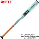 ZETT ゼット 高校野球 硬式 新基準 硬式バット ゼットパワー ZETTPOWER BAT113 2201カラー 限定色 83cm 84cm スカイシルバー