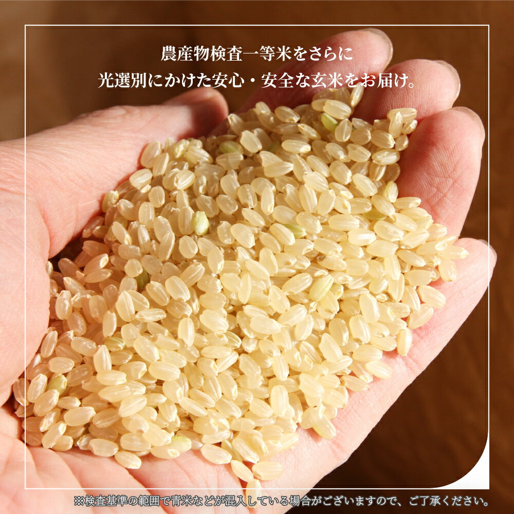 お米 コメ 雪若丸 10kg 無洗米 精米 送料無料 山形県産 令和3年産 5kg×2袋