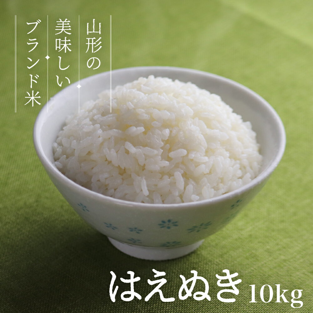 お米 コメ はえぬき 10kg 無洗米 精米 送料無料 山形県産 令和4年産 5kg×2袋