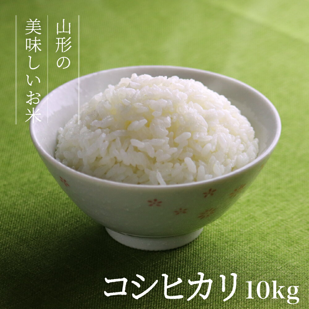 お米 コメ こしひかり コシヒカリ 10kg 精米 送料無料 山形県産 令和5年産 5kg×2袋