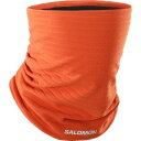 T SALOMON LC2122300 RS WARM TUBE J[BURNT OCHRE lbNEH[}[ lbN`[u NXJg[XL[ Xm[{[h AyyNXJg[XL[X܁z