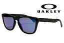 OAKLEY【SOFT TOUCH COLLECTION】 FROGSKINS SKULLS/BLUE IRIDIUM 【009013-5517-24-398】限定モデル