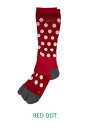 15/16BurtonJapan Free Socksy163421z