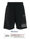 OAKLEY SPRING SUMMER 2022 STRIKING WIND SHORTS 9INCH 1.0 【FOA403595】
