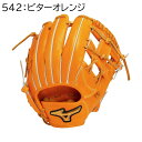 MIZUNO ミズノプロClassic 内野手用2 右投げ【1AJGH32113】