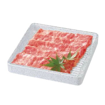 ABS製 正角肉皿 銀たたき24cm(3人用)「RNK-88」