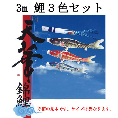 【ポール以外の鯉のぼりセット】『天華 鯉のぼり3色・天華滝のぼり吹流し・矢車・ロープの3mセット』※ポールは別売りです