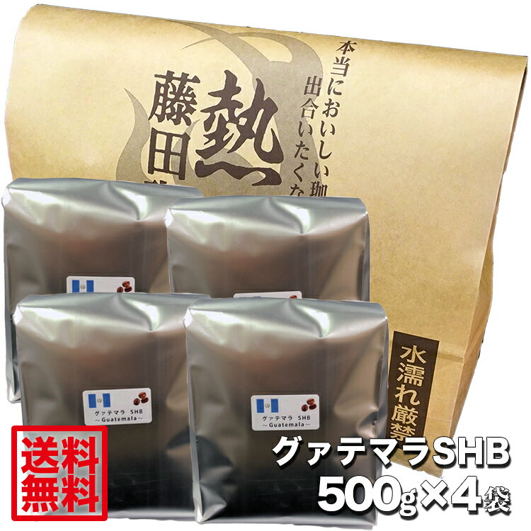 【送料無料】その味わいはとても優しく繊細。グアテマラSHB【500g×4袋】◇コーヒー/コーヒー豆◆業務用・卸価格にてお届け◆