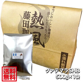 【送料無料】その味わいはとても優しく繊細。グアテマラSHB【500g】◇コーヒー/コーヒー豆 業務用・卸価格にてお届け◆