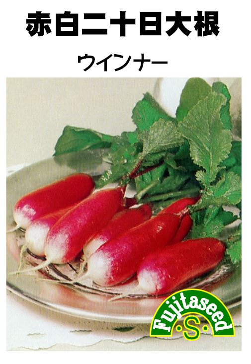【藤田種子】赤白二十日大根　ウインナー野菜のタネ