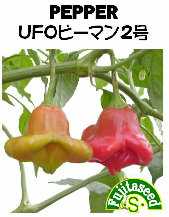 【藤田種子】UFOピーマン2号野菜のタネ