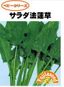 サラダ法蓮草野菜のタネ