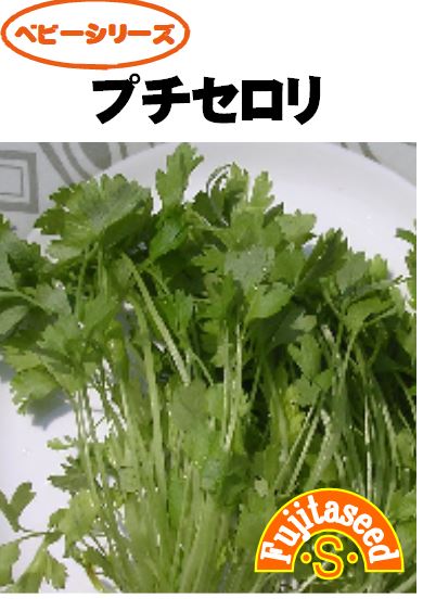 【藤田種子】プチセロリ野菜のタネ