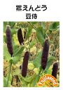 【藤田種子】紫えんどう豆侍野菜のタネ