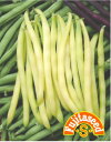 【藤田種子】黄いんげん2野菜のタネ 【藤田種子】黄いんげん2野菜のタネ
