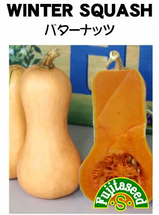 【藤田種子】バターナッツ野菜のタネ