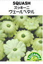 ズッキーニ　ヴェールペタル野菜のタネ