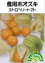 ストロベリートマト(食用トマトホオズキ）野菜のタネ