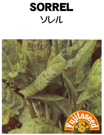 【利用方法】 長楕円形で厚みのある広い葉は酸味があります。 スイバとも呼ばれています。若葉をサラダやソース、 スープに利用します。 葉にシュウ酸を含んでいるので多食しないようにして ください。 【まき時期（一般地域）】　4月〜5月・9月 【発芽難易度】中級者向　　 【容量】　0.5ml 【種子有効期限につきまして】 この種子は毎年6月、12月に有効期限の切り替えがございます。 有効期限は証票切り替え月より1年間となっております。予めご了承ください。