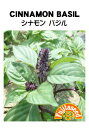 【藤田種子】シナモンバジルCINNAMON BASILハーブ種