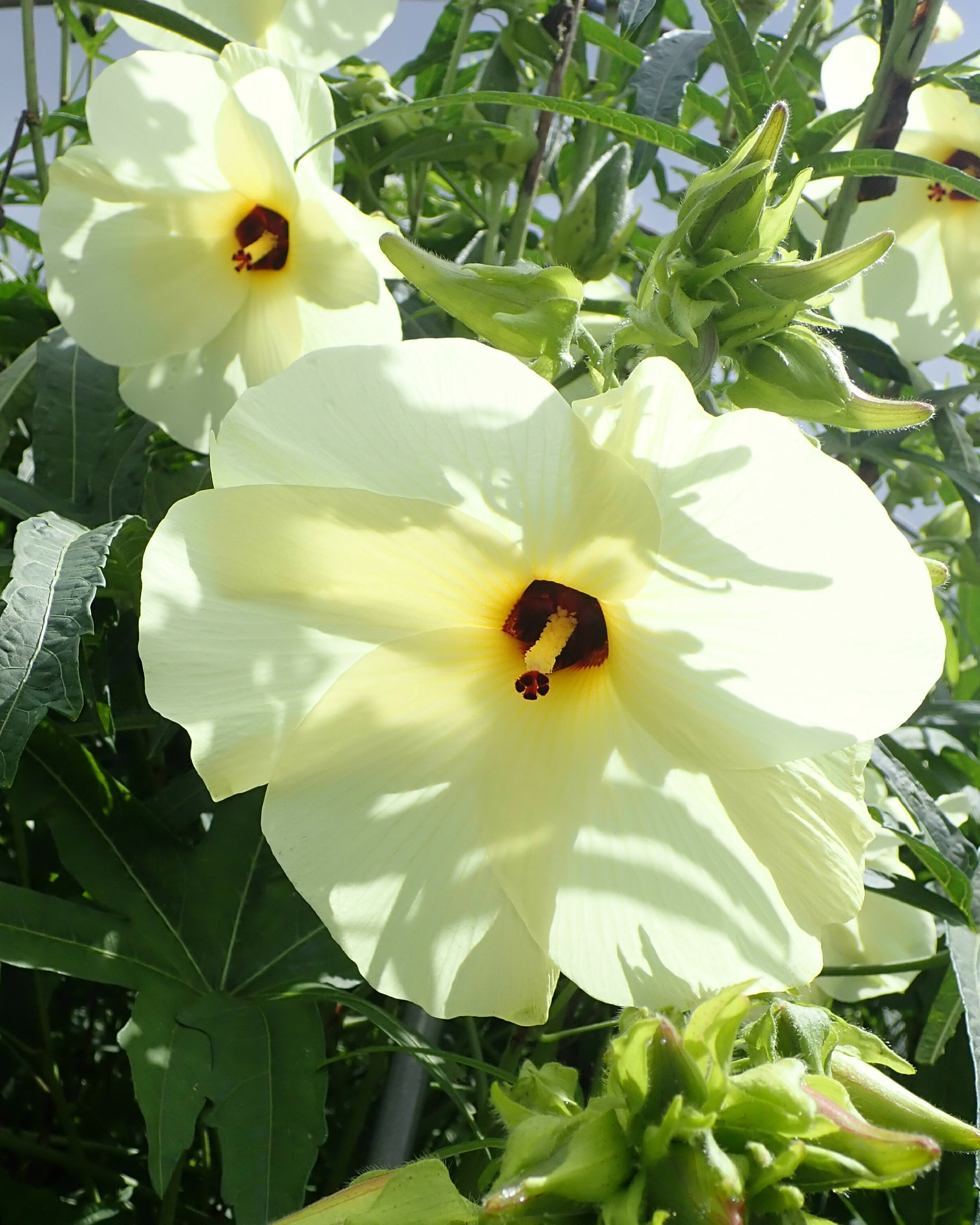 ��ƣ�ļ�ҡ۲֥�������ڤμ�