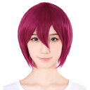 ウィッグ・エクステ TefuReで買える「【売切セール 返品交換不可】 ウィッグ ショート ボブ フルウィッグ コスプレ ウイッグ ショート フルウイッグ ピンク 赤髪 耐熱 かつら 男装 富士達 ふじたつ 【ショート】 フクシア」の画像です。価格は1,080円になります。